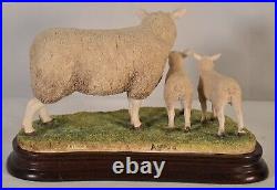 Border Fine Arts Texel Ewe & Lambs B1054 Limited Edition 317 Of 500 Ray Ayres