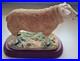 Border-Fine-Arts-Texel-Ram-01-pcml