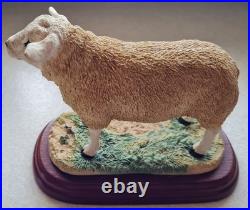 Border Fine Arts Texel Ram