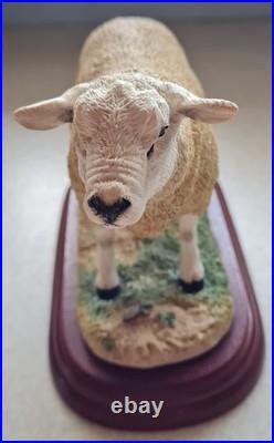 Border Fine Arts Texel Ram