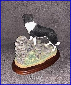 Border Fine Arts The Border Collie Collection Figure A7127 Keeping Watch