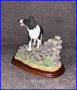 Border Fine Arts The Border Collie Collection Figure A7127 Keeping Watch
