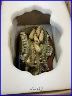 Border Fine Arts The Crossing