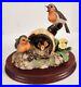Border-Fine-Arts-The-Joys-Of-Spring-Two-Robins-Nest-In-Teapot-Model-No-SOC2-01-wy