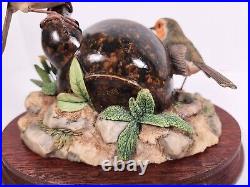 Border Fine Arts'The Joys Of Spring' Two Robins Nest In Teapot Model No SOC2