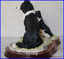 Border Fine Arts The Understudy L150 Sheep Dog and Puppy on Wooden Base Ltd Edn