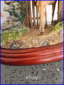 Border Fine Arts Unwelcome Guest Deer A1873 Figurine V Rare No Box