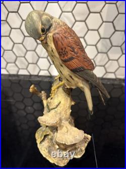 Border Fine Arts Victor Hayton Kestrel And Mouse Perfect Condition Rare