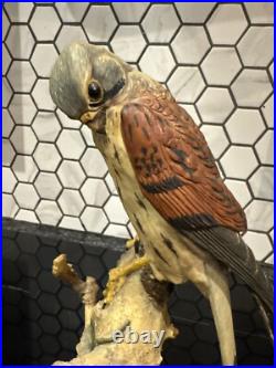 Border Fine Arts Victor Hayton Kestrel And Mouse Perfect Condition Rare