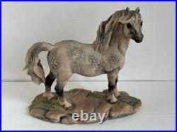 Border Fine Arts Welsh Mountain Pony Ornament Figurine Rare