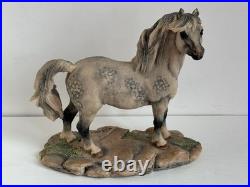 Border Fine Arts Welsh Mountain Pony Ornament Figurine Rare