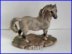 Border Fine Arts Welsh Mountain Pony Ornament Figurine Rare