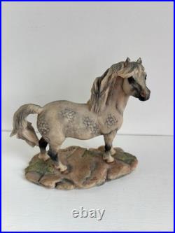 Border Fine Arts Welsh Mountain Pony Ornament Figurine Rare