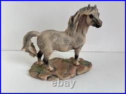 Border Fine Arts Welsh Mountain Pony Ornament Figurine Rare