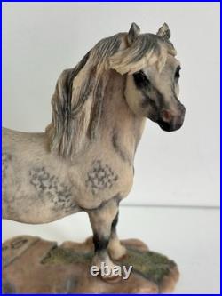 Border Fine Arts Welsh Mountain Pony Ornament Figurine Rare