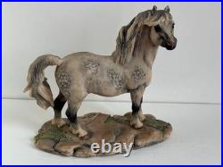 Border Fine Arts Welsh Mountain Pony Ornament Figurine Rare