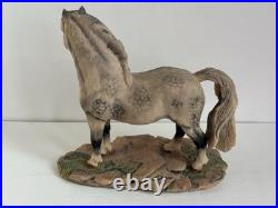 Border Fine Arts Welsh Mountain Pony Ornament Figurine Rare