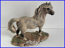 Border Fine Arts Welsh Mountain Pony Ornament Figurine Rare