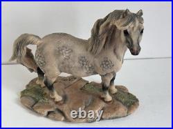 Border Fine Arts Welsh Mountain Pony Ornament Figurine Rare
