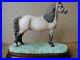 Border-Fine-Arts-Welsh-Mountain-Pony-Stallion-Section-A-Figurine-01-fz