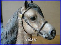 Border Fine Arts'Welsh Mountain Pony Stallion Section A' Figurine