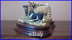 Border Fine Arts, What Now (Swaledale Sheep And Collie Dog) Model No L120