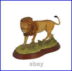 Border Fine Arts Wild World series Figure Lion A5047 (Boxed) 561 BFA