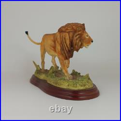 Border Fine Arts Wild World series Figure Lion A5047 (Boxed) 561 BFA