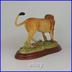 Border Fine Arts Wild World series Figure Lion A5047 (Boxed) 561 BFA