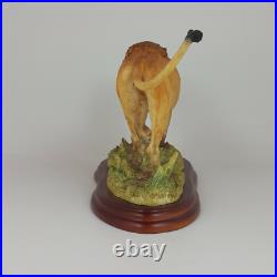 Border Fine Arts Wild World series Figure Lion A5047 (Boxed) 561 BFA