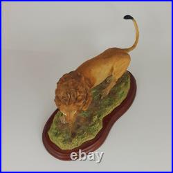 Border Fine Arts Wild World series Figure Lion A5047 (Boxed) 561 BFA