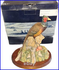 Border Fine Arts Woodland Majesty Pheasant BFA96 David Walton Boxed Excellent