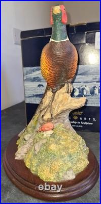 Border Fine Arts Woodland Majesty Pheasant BFA96 David Walton Boxed Excellent
