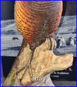 Border Fine Arts Woodland Majesty Pheasant BFA96 David Walton Boxed Excellent