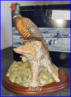 Border Fine Arts Woodland Majesty Pheasant BFA96 David Walton Boxed Excellent