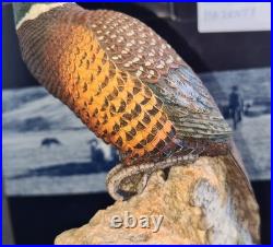 Border Fine Arts Woodland Majesty Pheasant BFA96 David Walton Boxed Excellent