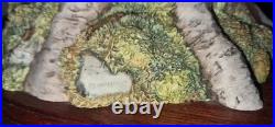 Border Fine Arts Woodland Majesty Pheasant BFA96 David Walton Boxed Excellent