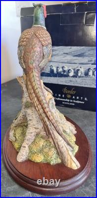 Border Fine Arts Woodland Majesty Pheasant BFA96 David Walton Boxed Excellent