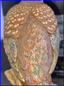 Border Fine Arts Woodland Majesty Pheasant BFA96 David Walton Boxed Excellent