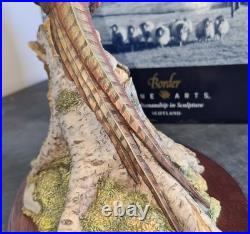 Border Fine Arts Woodland Majesty Pheasant BFA96 David Walton Boxed Excellent