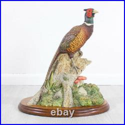 Border Fine Arts Woodland Majesty Pheasant Model