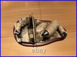 Border Fine Arts Wrong Side Of The Fence