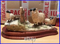 Border Fine Arts Wrong Side Of The Fence