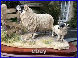 Border Fine Arts'Wrong Side of the Fence' (Ewe and Lamb)