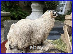 Border Fine Arts'Wrong Side of the Fence' (Ewe and Lamb)