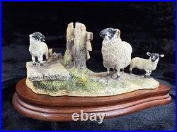 Border Fine Arts Wrong Side of the Fence Limited Edition sheep Figurine
