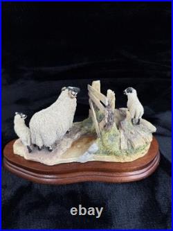 Border Fine Arts Wrong Side of the Fence Limited Edition sheep Figurine