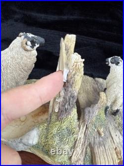 Border Fine Arts Wrong Side of the Fence Limited Edition sheep Figurine