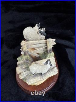 Border Fine Arts Wrong Side of the Fence Limited Edition sheep Figurine