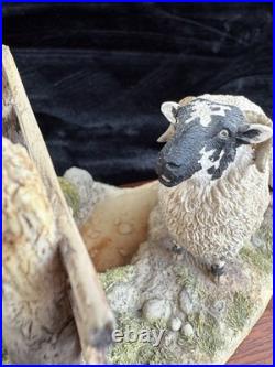 Border Fine Arts Wrong Side of the Fence Limited Edition sheep Figurine